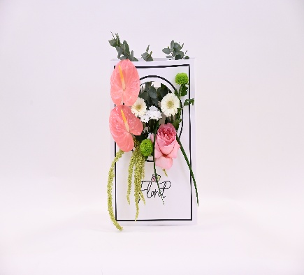 متنوع من اجمل الزهور| A variety of the most beautiful flowers